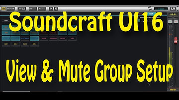 Soundcraft UI16 View & Mute Group Setup