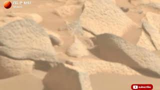Perseverance Rover Sol - 1076 | Mars Latest 4k Video | Mars Latest Footage | Mars New Updates