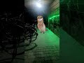 APT Versi song listen funny for kids fun to watch