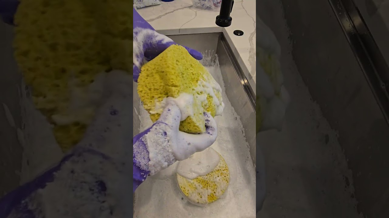 Roma and Hot Water sponge 🧽 squeeze 