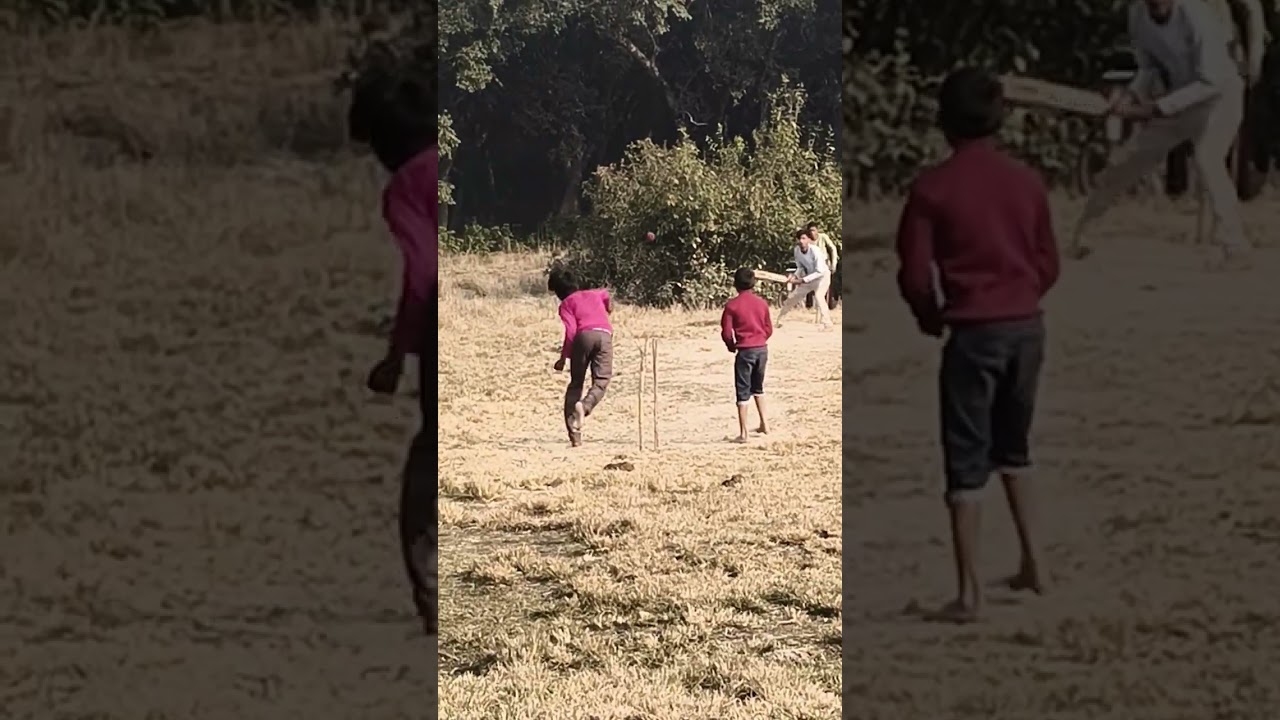 Desi cricket 🏏 please like subscribe 🙏😁 and support 