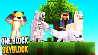Minecraft Skyblock But You Only Get 1 Block (4) screenshot 5
