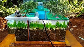 Arduino-based automated dam