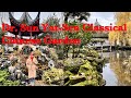 Drsun yatsen classical chinese garden 2023  china town vancouver canada 