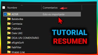 Poner Comentarios en CARPETAS 