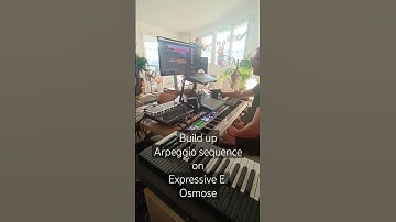 Build up arpeggio sequence on Expressive synth 🤩👌🎹🎶🤫 #expressivee #osmose #abletonlive #push2