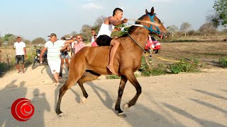🏁 Horse Racing / Carreras de caballos 🏇🏇 Las piedras Bolívar, Colombia. 8 abril 2023