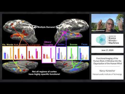 Functional Imaging of