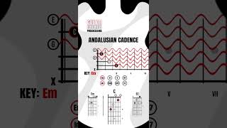 The Andalusian Cadence, The Most Common Guitar Chord, Andalusian Cadence Chord Progression