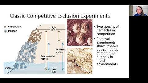 Community Ecology Part 2