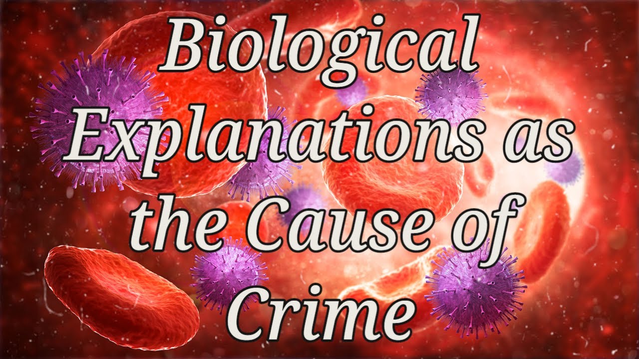Biological Trait Theories  - Criminology