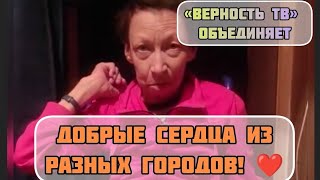 СПАСЕНИЕ ЖИВОТНЫХ НАШЕ ОБЩЕЕ ДЕЛО! Города объединяются с «ВЕРНОСТЬ ТВ»