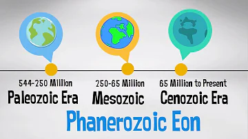 How many eras does Phanerozoic Eon have answer?