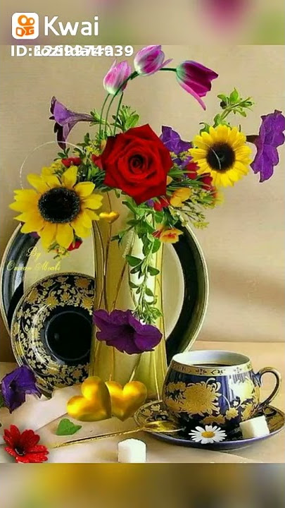 BOM DIA CHITÁOZINHO E XORORÓ 1990