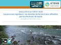 Webconfrence atbvb bgm les poissons migrateurs en bretagne  donnes disponibles et outils