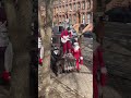 “Furry Road” the winner of the NYC Idiotarod