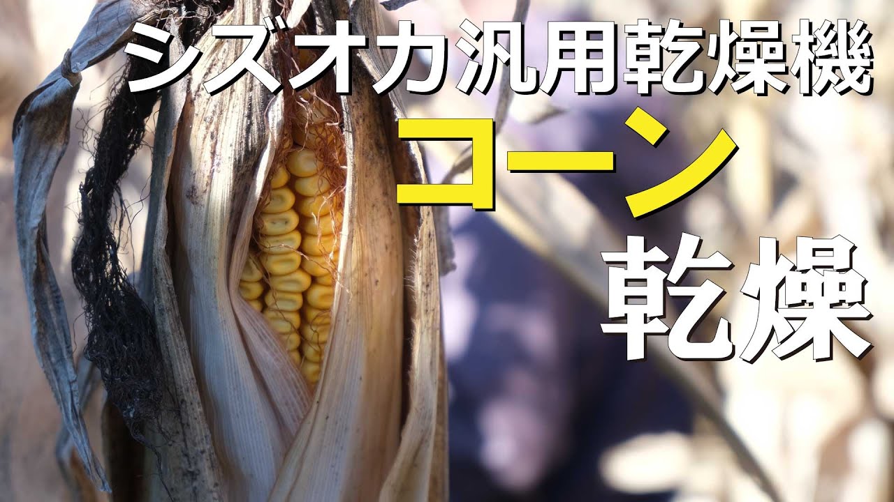 子実コーン乾燥機