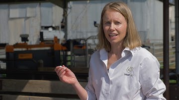 Three simple steps to better DNA sampling with TSUs