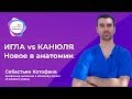 Игла VS канюля? Новые данные в анатомии.