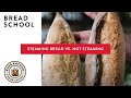 Steaming Bread vs. Not Steaming - Bread School