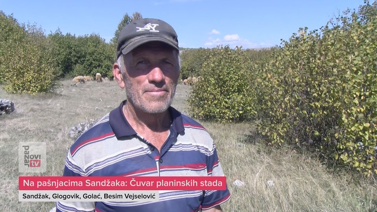 Na pašnjacima Sandžaka: Čuvar planinskih stada