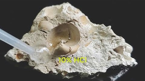 Identification Sedimentary Rock A01 HCl Acid Test