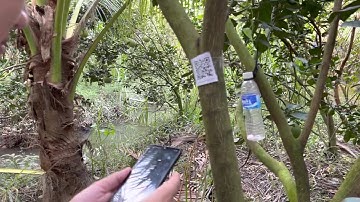 Blockchain Farm | Kiểm tra mã vạch QR chức năng truy xuất thông tin nông sản -Blockchain nông nghiệp