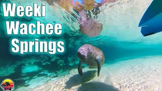Uncover Florida's Secrets: Weeki Wachee Springs State Park