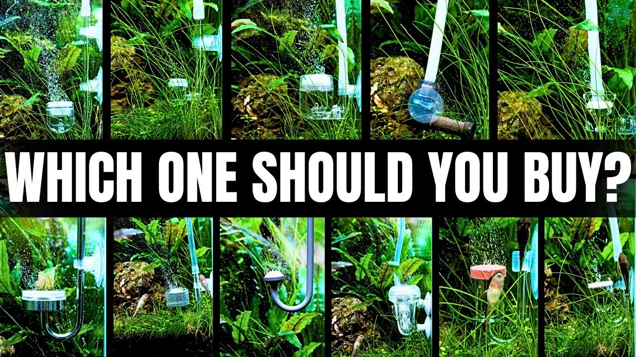 ТЕСТИРОВАНИЕ КАЖДОГО ДИФФУЗОРА CO2, ЧТОБЫ ВАМ НЕ ПРИШЛОСЬ