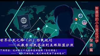 【投资篇】世界公民之路（六）移民规划——从数字游民签证到五眼联盟护照 | 斯嘉丽的小生意经济学