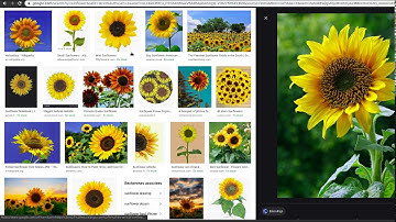 Artificial intelligence allows you to recognize some types of flowers with Tensorflow (Demo)