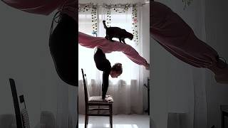Morning Yoga 🧘 part-0064 #yogagirl #yogaexercise #flexibility #yogapostures #gostretchyourself