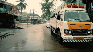 Download Lagu Heavy Rain 🌧️ on a Village Path Surrounded by Green Trees | Soothing Natural Sounds MP3