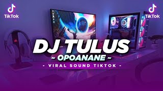 DJ TULUS OPOANANE VIRAL MBAK LARAS TIKTOK TERBARU BY Agil Fvnky