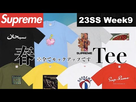 Supreme23ss week9 Tシャツ