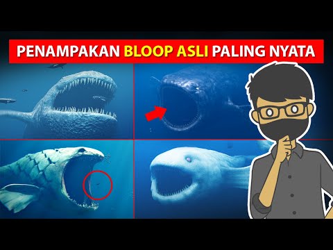 Video: Blok yang manakah merupakan bukti ngeri?