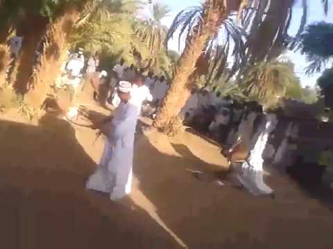 الفنان حيدر ارساوي ووشافة اغاني نوبية اغاني دنقلاوية 