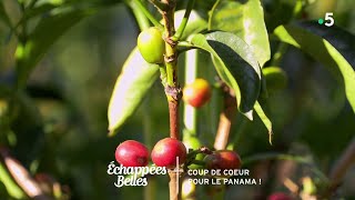 Coup de coeur pour le Panama !  Echappées belles