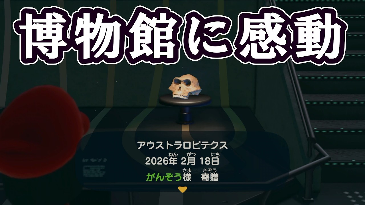 【あつ森】何もないけど博物館に感動して語彙を失う【Switch2】