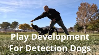 Play Development For Detection Dogs