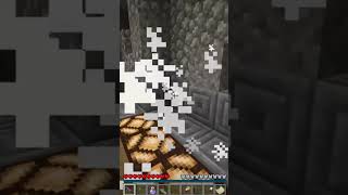 Cleaning your old Minecraft builds is DANGEROUS!