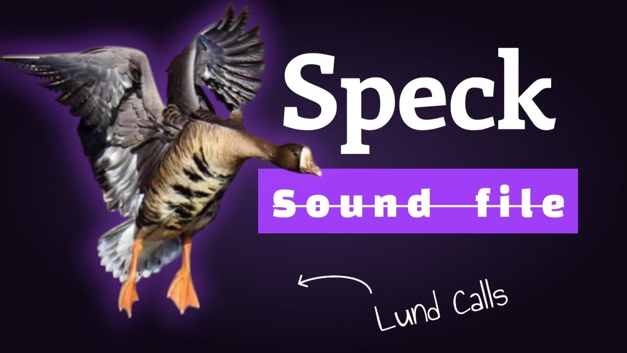 Speck Call Sound File 