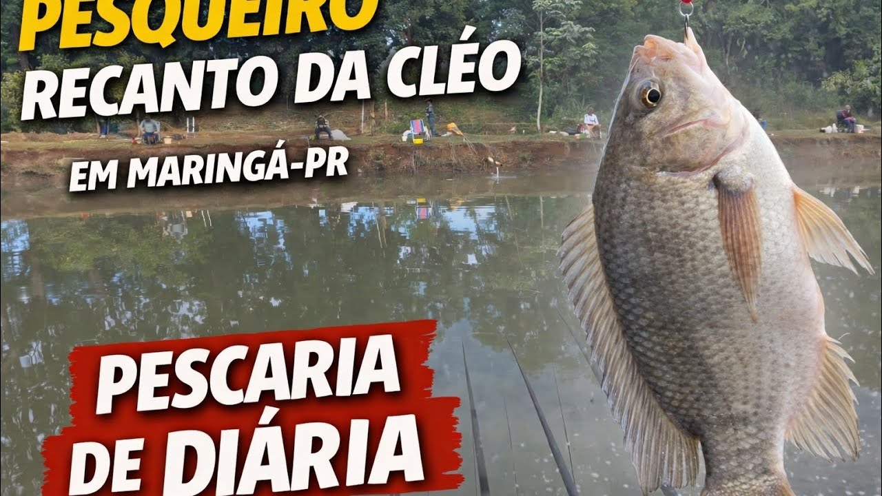 Pescaria de Diária, cardume passou igual chuva de verão.. 