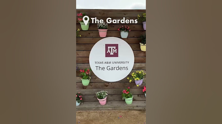The BEST Spots to Study at Texas A&M University!