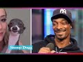 20 Animals That Look Like  Celebrities