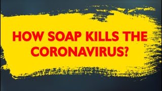 How Soap Kills the Coronavirus | Working of Soap Explained