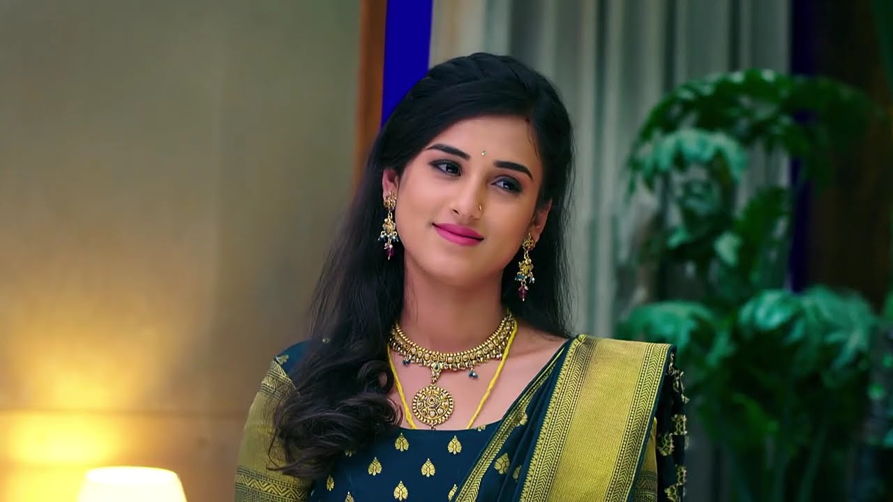 Kalyanam Kamaneeyam - Ep 314 - Meghana Lokesh - Telugu Tv Serial - Zee5 Telugu Classics