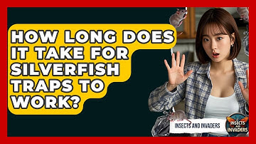 How Long Does It Take For Silverfish Traps To Work? - Insects and Invaders
