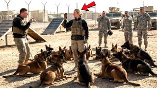 A Handler Mocked the Woman Near the War Dogs — Her Single Command Laid All 12 Down