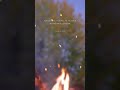 POV: you and your feed are craving a reset 🔥 Watch 2–3 times to recalibrate the algorithm